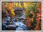 Drzewa, North Cheyenne Creek, Kamienie, Most, Colorado Springs, Potok, Jesień, Kolorowe, Kolorado, Stany Zjednoczone, Krzewy