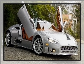 Spyker C8 Aileron, Plac, Drzewa