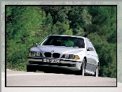 Srebrne, BMW 5, E39