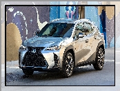 Srebrny, Ściana, Lexus UX, Kolorowa