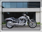 Srebrny, Cruiser, Harley Davidson V-Rod