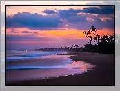 Palmy, Sri Lanka, Plaża, Ocean, Zachód Słońca