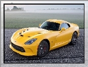 SRT Viper, Mgła, Droga, Pola
