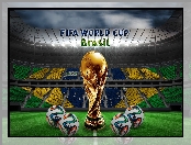 Stadion, Brazylia 2014, Piłki, Puchar