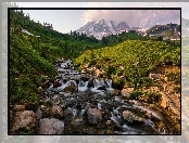 Park Narodowy Mount Rainier, Stan Waszyngton, Stany Zjednoczone, Rzeka, Kamienie, Góry, Szczyt Mount Rainier