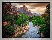 Stany Zjednoczone, Drzewa, Góry, Stan Utah, Park Narodowy Zion, Góra Watchman, Rzeka Virgin River