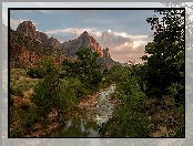 Stan Utah, Góry Watchman, Park Narodowy Zion, Drzewa, Rzeka Virgin River, Stany Zjednoczone