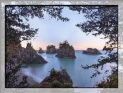 Stany Zjednoczone, Secret Beach, Człowiek, Plaża, Wybrzeże, Gałęzie, Stan Oregon, Morze, Skały, Drzewa