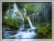 Stany Zjednoczone, Miejsce chronione, Gifford Pinchot National Forest, Stan Waszyngton, Drzewa, Wodospad, Panther Creek Falls