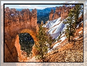 Stany Zjednoczone, Łuk Natural Bridge, Park Narodowy Bryce Canyon, Skały, Stan Utah, Kanion, Góry, Drzewa