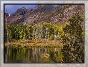 Drzewa, Stany Zjednoczone, Kalifornia, Jezioro Lundy Lake, Góry