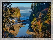 Stany Zjednoczone, Jesień, Plaża Ruby Beach, Stan Waszyngton, Park Narodowy Olympic, Drzewa, Morze