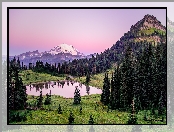 Stany Zjednoczone, Stratowulkan Mount Rainier, Góry, Park Narodowy Mount Rainier, Świerki, Drzewa, Stan Waszyngton, Łąka, Trawa, Staw