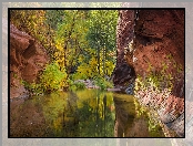 Stany Zjednoczone, Skały, Sedona, Drzewa, Arizona, Wąwóz, Oak Creek Canyon, Rzeka Oak Creek