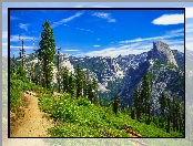 Góry, Kalifornia, Stany Zjednoczone, Sierra Nevada, Park Narodowy Yosemite, Ścieżka, Drzewa