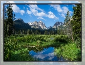 Stany Zjednoczone, Rozlewiska, Trawa, Stan Idaho, Góry Sawtooth Range, Szczyt Horstmann Peak, Drzewa