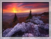 Stany Zjednoczone, Drzewa, Odbszar Dolly Sods Wilderness, Zachód słońca, Wirginia Zachodnia, Rezerwat przyrody Bear Rocks, Góry, Skały