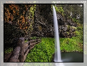 Wodospad, Drzewa, Roślinność, Latourell Falls, Stany Zjednoczone, Skały, Oregon, Ogrodzenie, Hrabstwo Multnomah