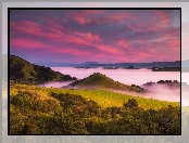 Wzgórza, Stan Kalifornia, Mgła, Stany Zjednoczone, Drzewa, Wschód słońca, Petaluma Hills, Obszar Bay Area