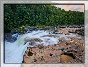 Drzewa, Pensylwania, Rzeka, Wodospad, Youghiogheny River, Stany Zjednoczone, Las, Ohiopyle Falls