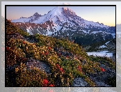 Stany Zjednoczone, Stratowulkan Mount Rainier, Śnieg, Park Narodowy Mount Rainier, Góry, Drzewa, Stan Waszyngton, Łąka, Kwiaty, Wschód słońca