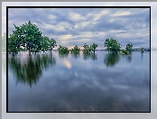 Jezioro, Chatfield Lake, Stany Zjednoczone, Drzewa, Park stanowy, Chatfield State Park, Kolorado