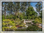 Staw, Ogród, Earl Burns Miller Japanese Garden, Drzewa, Stany Zjednoczone, Most, Kalifornia, Krzewy, Long Beach