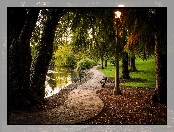 Ławki, Park, Alejka, Staw, Latarnia
