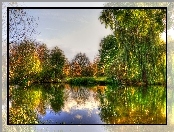 Staw, Jesień, Park, Drzewa