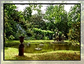 Park, Staw, Lato