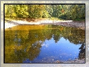 Park, Staw, Odbicie