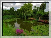 Park, Staw, Roślinność