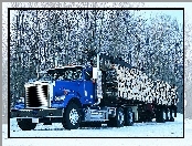 Sterling Truck, Drewno, las