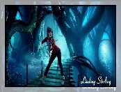 Lindsey Stirling, Grafika