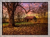 Jesień, Stodoła, Drzewa