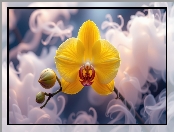 Storczyk, Pąki, Żółty