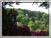 Ogród, Stourhead, Anglia