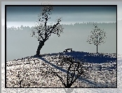 Suche, Ławeczka, Drzewa, Śnieg