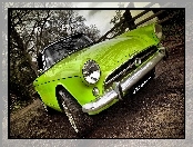 Sunbeam Alpine, Ogrodzenie, Podwórko, Drzewa