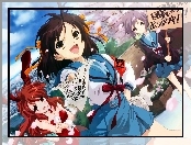 Suzumiya Haruhi No Yuuutsu, kartka, napisy