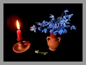 Cebulica syberyjska, Kompozycja, Flakon, Świeca, Bukiet Kwiatów