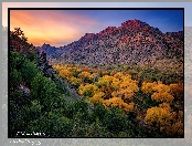 Jesień, Arizona, Stany Zjednoczone, Kolorowe, Drzewa, Góry, Kanion Sycamore