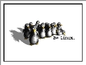 System, Pingwinów, Linux, Gromadka