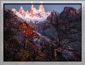 Szczyt Fitz Roy, Jezioro, Argentyna, Drzewa, Ośnieżone, Góry, Patagonia