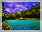 Jezioro, Szopa, Las
