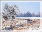 Szron, Zima, Zaśnieżone, Drzewa, Rzeka
