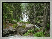 Tatry, Słowacja, Potok Studencki