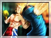 Tekken Tag Tournament 2, Steve Fox