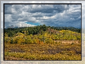 Teton Range, Stan Wyoming, Drzewa, Park Narodowy Grand Teton, Chmury, Stany Zjednoczone, Pole, Góry