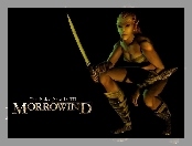 The Elder Scrolls III: Morrowind, Elf